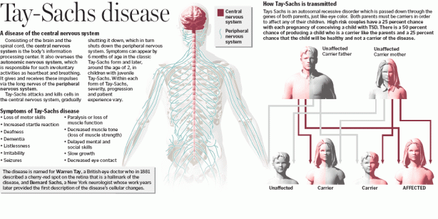 HOW TAY-SACHS DISEASE IS INHERITED? 
